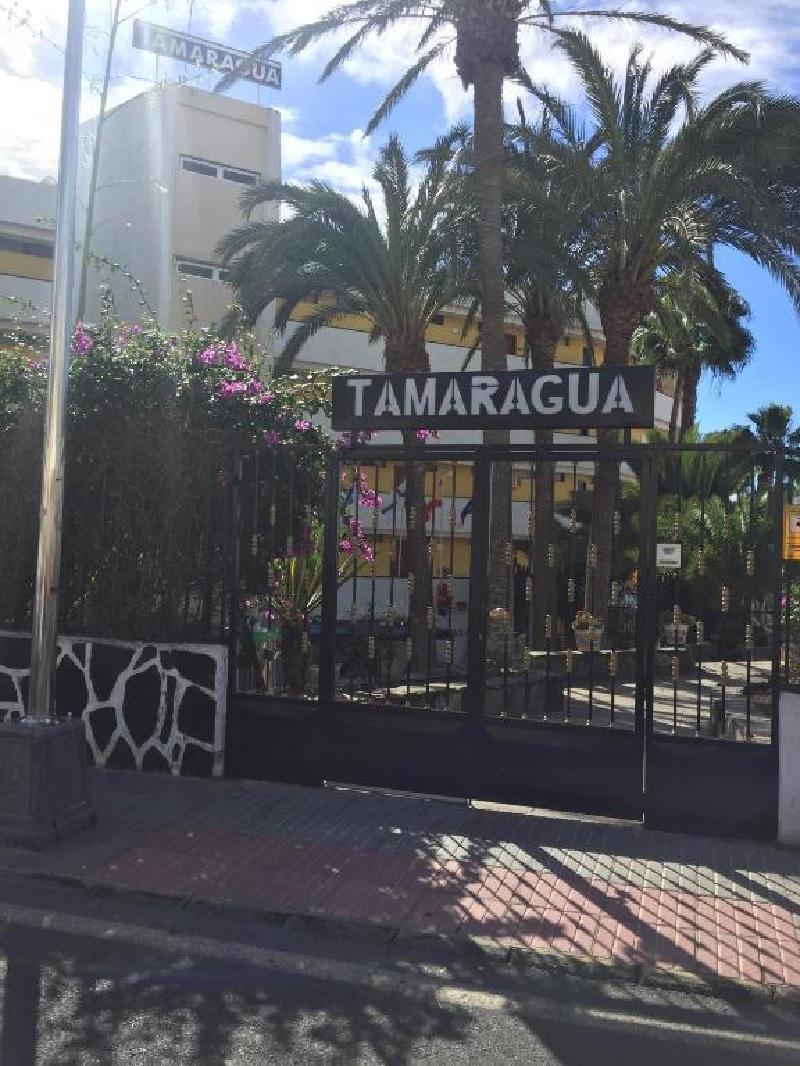 Apartamentos Tamaragua Πλάγια ντελ Ινγκλές Εξωτερικό φωτογραφία