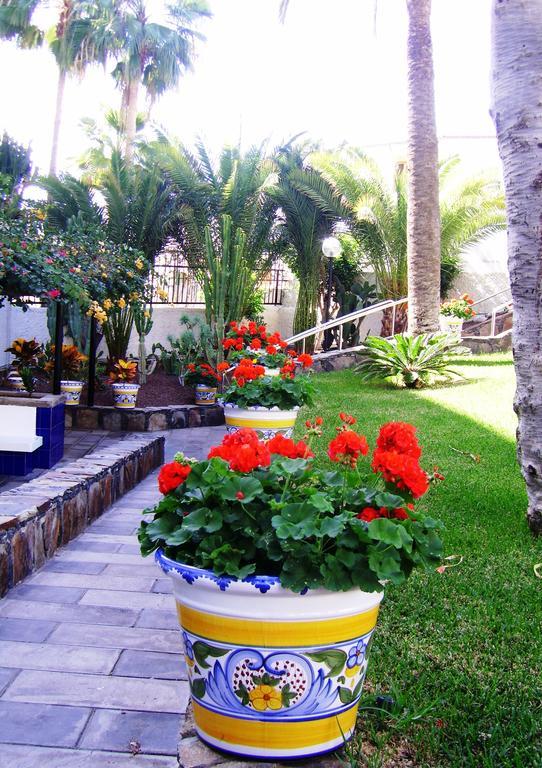 Apartamentos Tamaragua Πλάγια ντελ Ινγκλές Εξωτερικό φωτογραφία